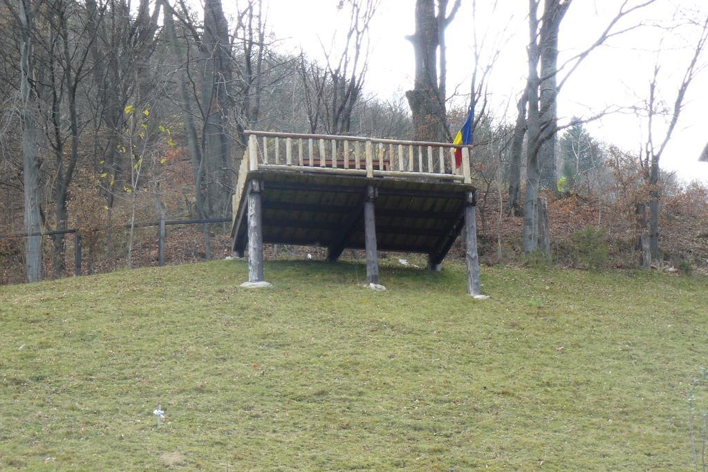 Pensiunea Vladut Bran  Oda fotoğraf