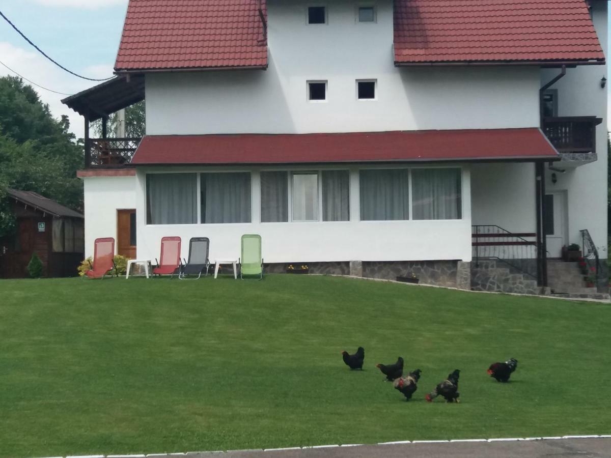 Pensiunea Vladut Bran  Dış mekan fotoğraf