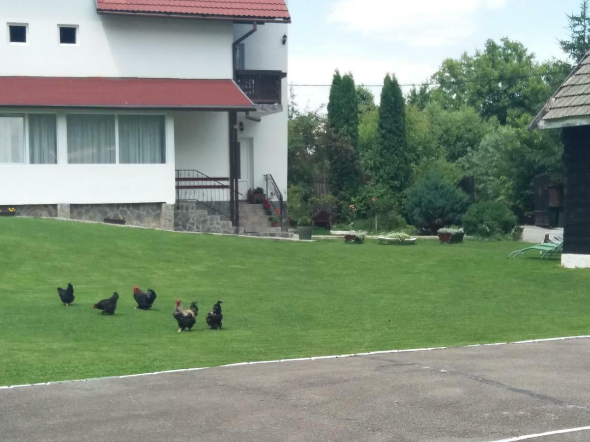 Pensiunea Vladut Bran  Dış mekan fotoğraf